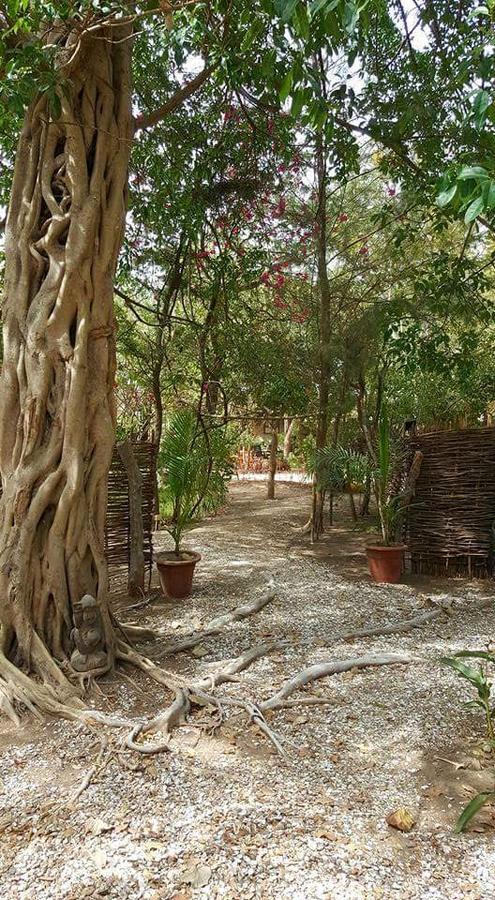 Evergreen Eco Lodge Retreat Tujereng Exterior photo